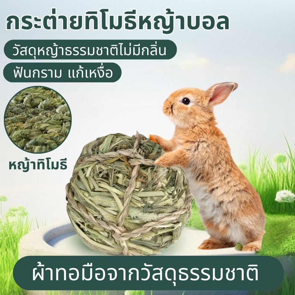Dutch hamster Timothy dragon cat chew toy nature weird rabbit grass ball hand knitted pig