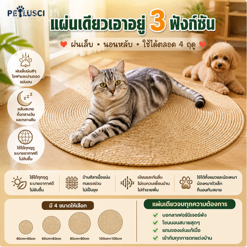 แผ่นลับเล็บแมว 3In1🌿มีหญ้าแมว ถักทอจากหวาย พรมแมว ของเล่นแมว ที่นอนแมว กันข่วน วงกลมพรมลับเล็บแมว