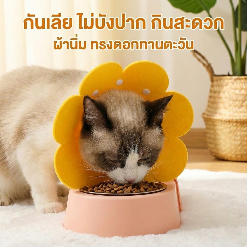 ปลอกคอกันเลีย รุ่นไม่บังปาก น้องกินข้าวสะดวก ทรงดอกทานตะวัน ผ้านิ่ม ใส่สบาย ไม่บาดคอ คอลล่าร์แมว