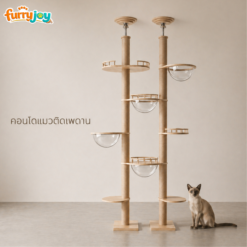 FurryJoy] คอนโดแมวทรงสูง ยึดเพดาน 2.6-3.2m ไม่ต้องเจาะผนัง ไม้แท้ แข็งแรง DIY ได้