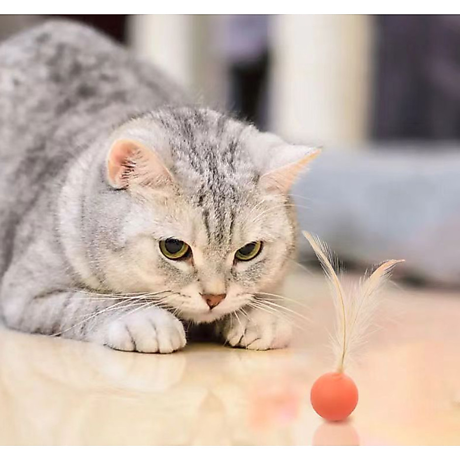 AL-1632 ของเล่นแมว ลูกบอลเด้ง พร้อมขนนก สําหรับแมว ทุกวัย 3สี ทนทาน