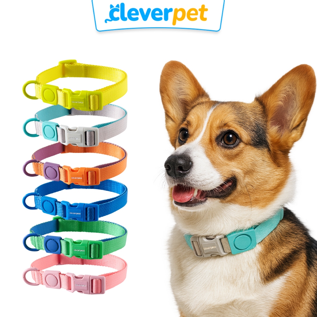 Cleverpet ปลอกคอสุนัข ปลอกคอสัตว์เลี้ยง ปลอกคอแมว สายจูงสุนัข ColorReco Dog Collar