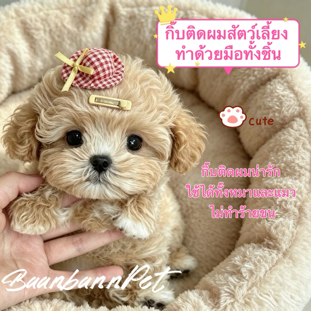 กิ๊บหมวกลายตารางสไตล์มาคารอง ทําด้วยมือ กิ๊บ BB อ่อนโยนต่อขน ไม่ดึงขน ใช้ได้ทั้งหมาแมว เครื่องประดับตกแต่งขนสัตว์เลี้ยง