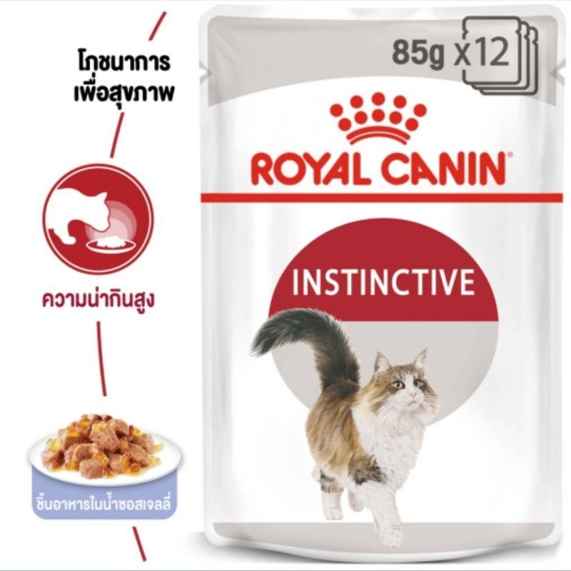 ROYAY CANIN อาหารแมวโตแบบเปียกเยลลี่ 12ซอง สําหรับแมวโต