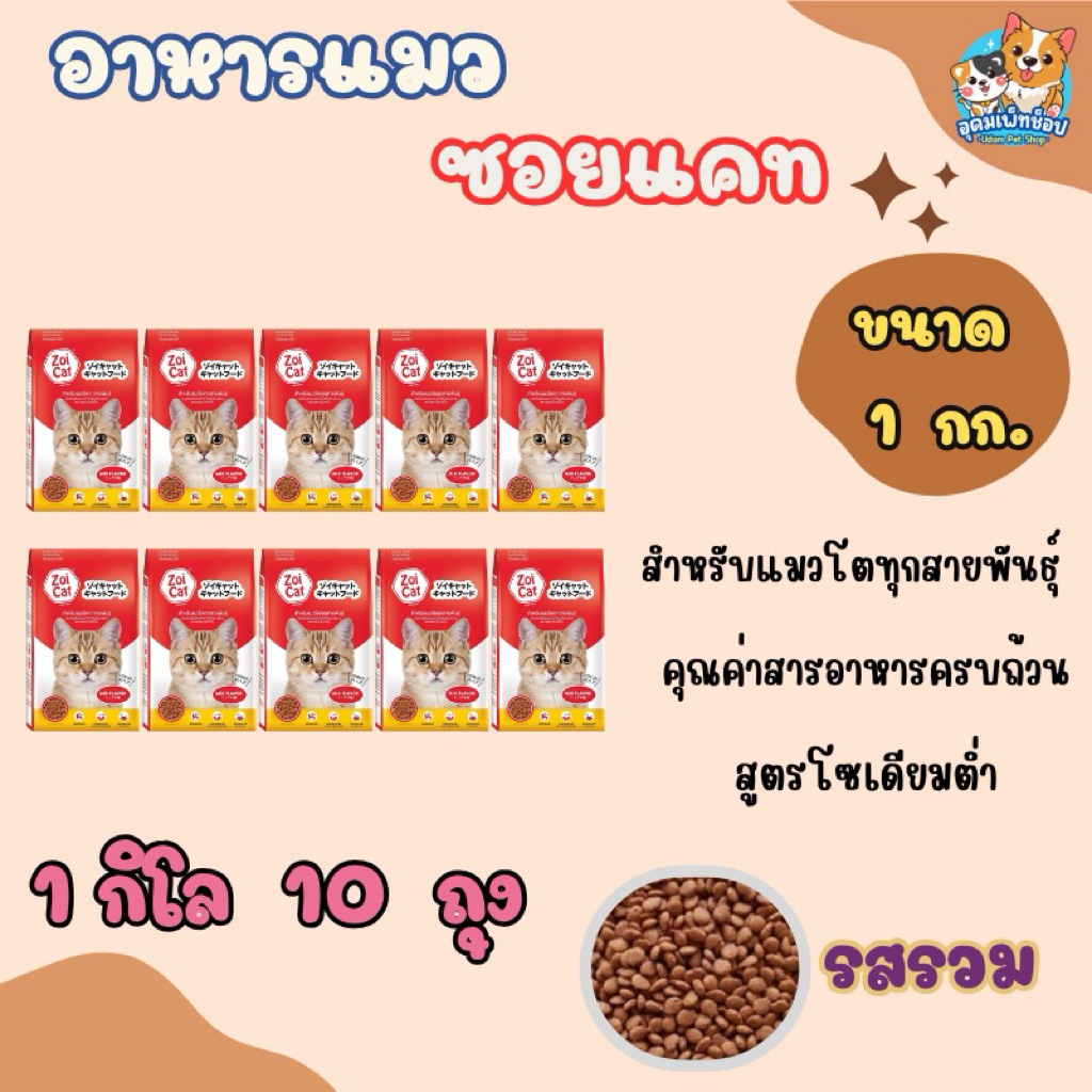 อาหารแมว ซอยแคท ZOI CAT ขนาด 1 กก. จํานวน 10 ถุง สําหรับแมวโต