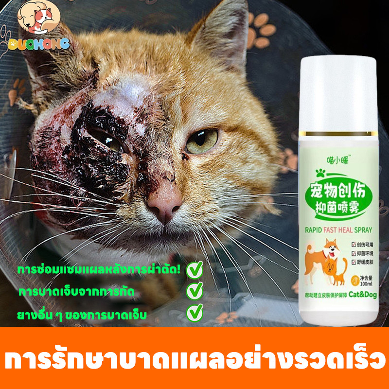 สเปรย์สมานแผลสําหรับสัตว์เลี้ยง สเปรย์พ่นแผล สเปรย์นาโน แผลแห้งไว สมานแผลไว ฆ่าเชื้อแบคทีเรีย สําหรับสุนัข แมว และสัตว์เลี