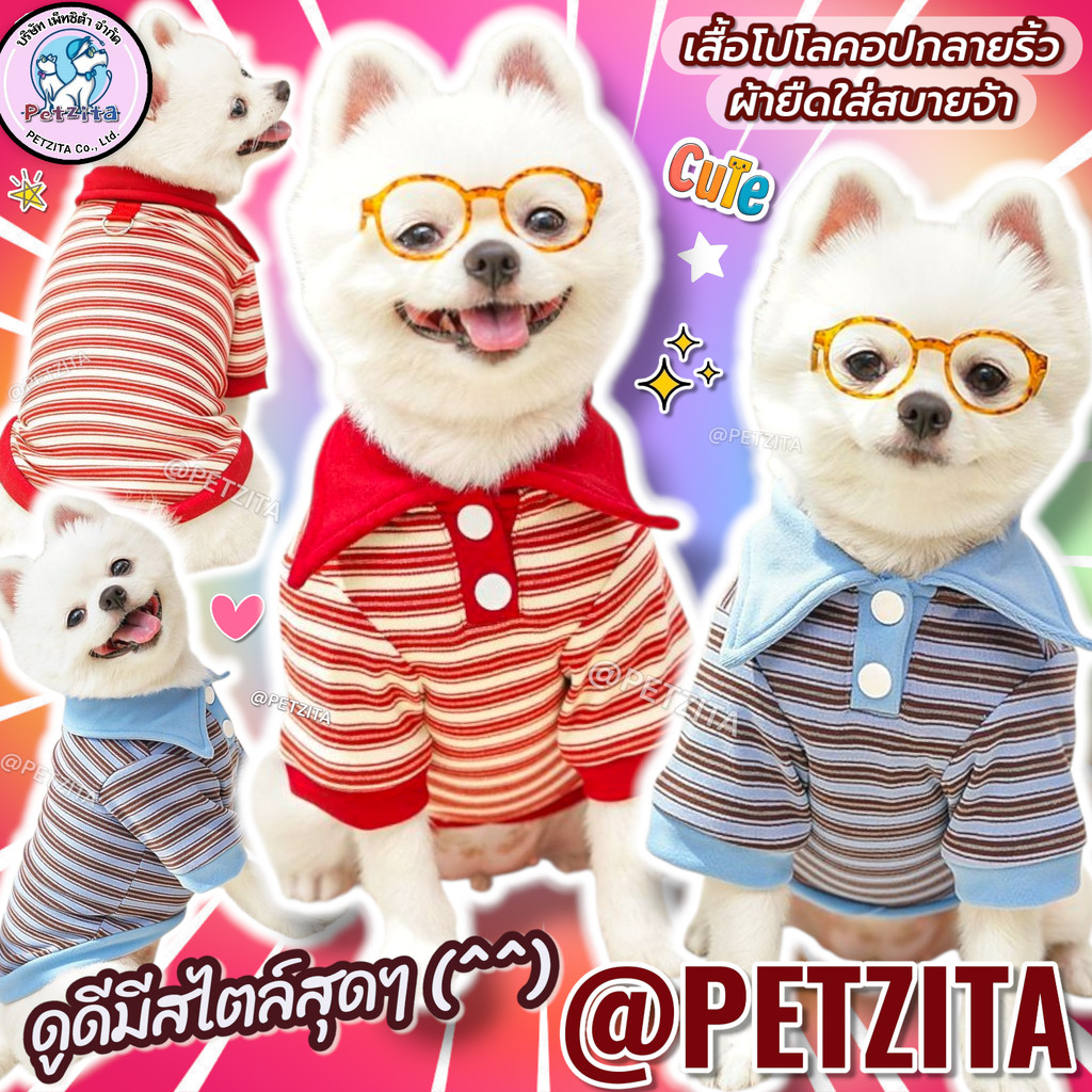 เสื้อโปโลมีแขนคอปกดีเทลกระดุมขาว ลายริ้วผ้ายืดใส่สบาย for pet เสื้อสุนัข ชุดหมา ชุดแมว