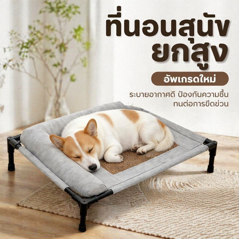 ที่นอนแมว ที่นอนสุนัข ยกสูง ระบายอากาศ กันชื้น ผ้าขนหนูนุ่ม ถอดซักได้ ทนขีดข่วน