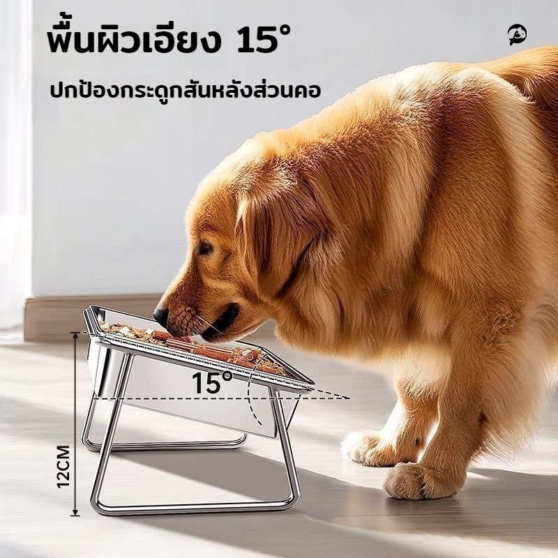 ชามสัตว์สแตนเลส เกรดอาหาร ฐานยกสูงรองรับคอ แยกน้ําอาหาร ล้างง่ายไร้สนิม สุนัขแมวทุกขนาด ทนทานปลอดสาร ชามป้อนแมวอยู่คอนโด