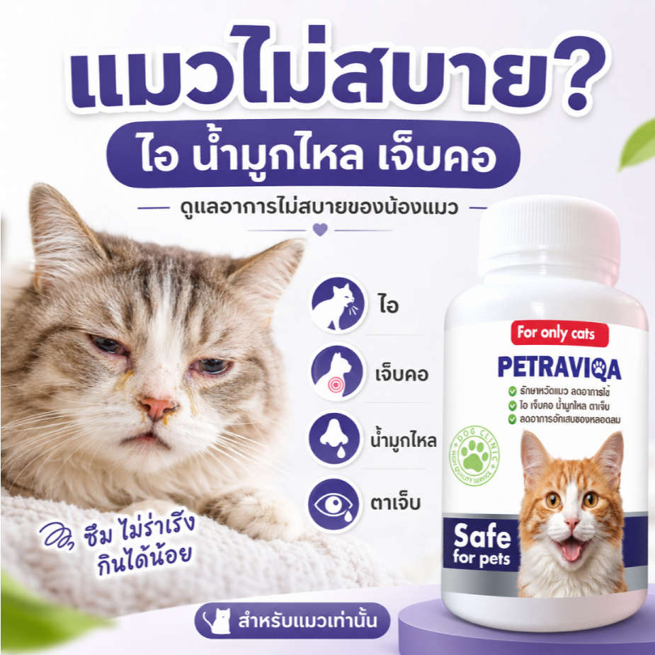 วิตามินเสริมภูมิ แมวไม่สบาย ไอ จาม มีน้ํามูก บํารุงการหายใจ กลับมาแข็งแรง
