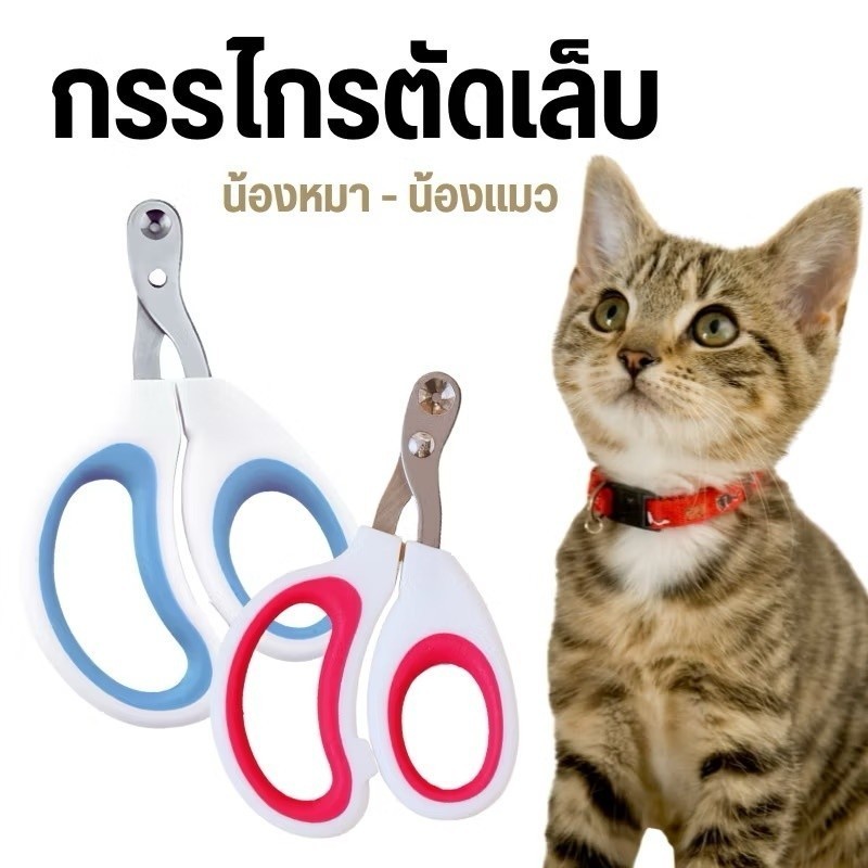 shopping mall กรรไกรตัดเล็บสัตว์เลี้ยง มืออาชีพสุนัขแมวเล็บ ก ริปเปอร์ กับความปลอดภัยยามสแตนเลสสัตว์เลี้ยงกรงเล็บเล็บ