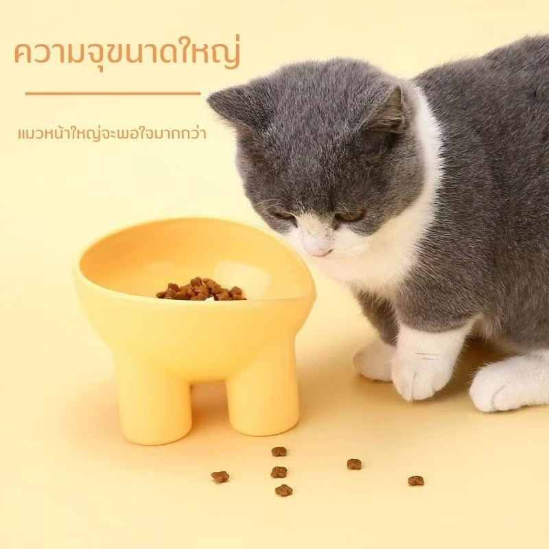 ชามกันมด แมว ชามอาหารแมว ชามอาหารสัตว์เลี้ยง ทรงเฉียง ชามอาหารสุนัข ที่วางอาหารสัตว์เลี้ยง เครื่องให้อาหารสัตว์