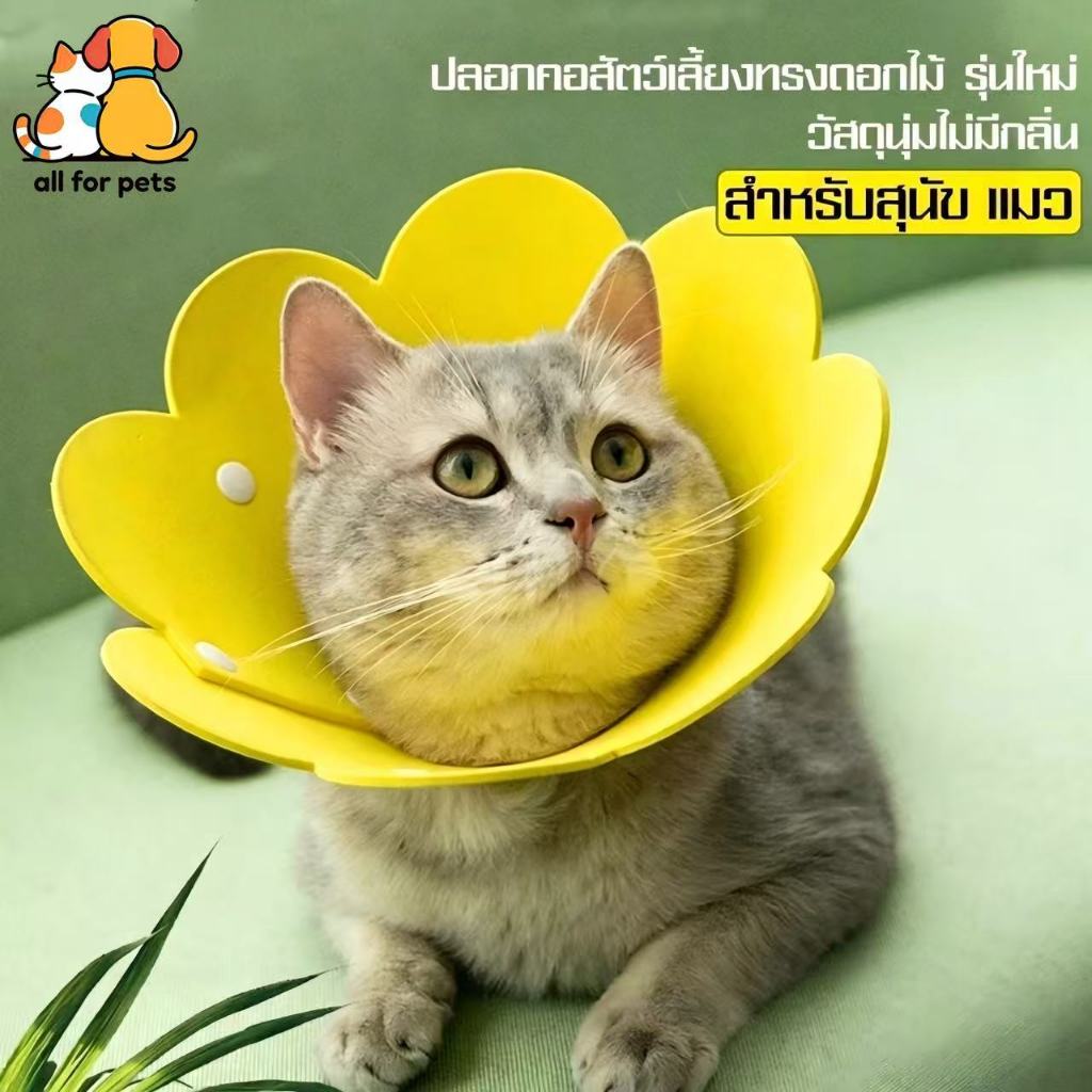 คอลล่าแมวปลอกคอกันเลีย4สีคอลล่าแมวลําโพงแมวคอลล่าสุนัขรอบคอป้องกันการเลียแผลนุ่มนิ่มใส่สบายใส่ง่าย S/M/L สําหรับสุนัข/แมว