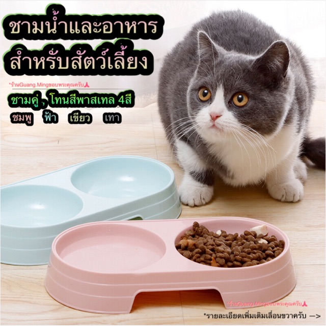ชามอาหารและน้ําสัตว์เลี้ยง ชามแมว2หลุม ชามสุนัข2หลุม