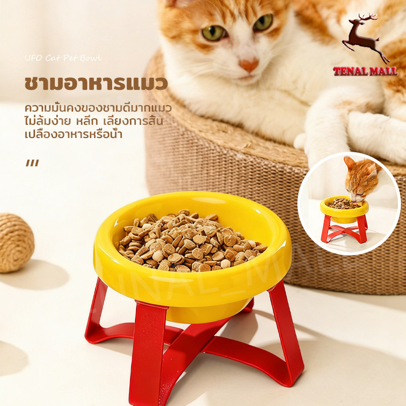 ชามอาหารหมา ชามข้าวแมว ชามอาหารสําหรับสัตว์เลี้ยงที่ยกสูง ปรับระดับความสูงได้ ลายน่ารัก