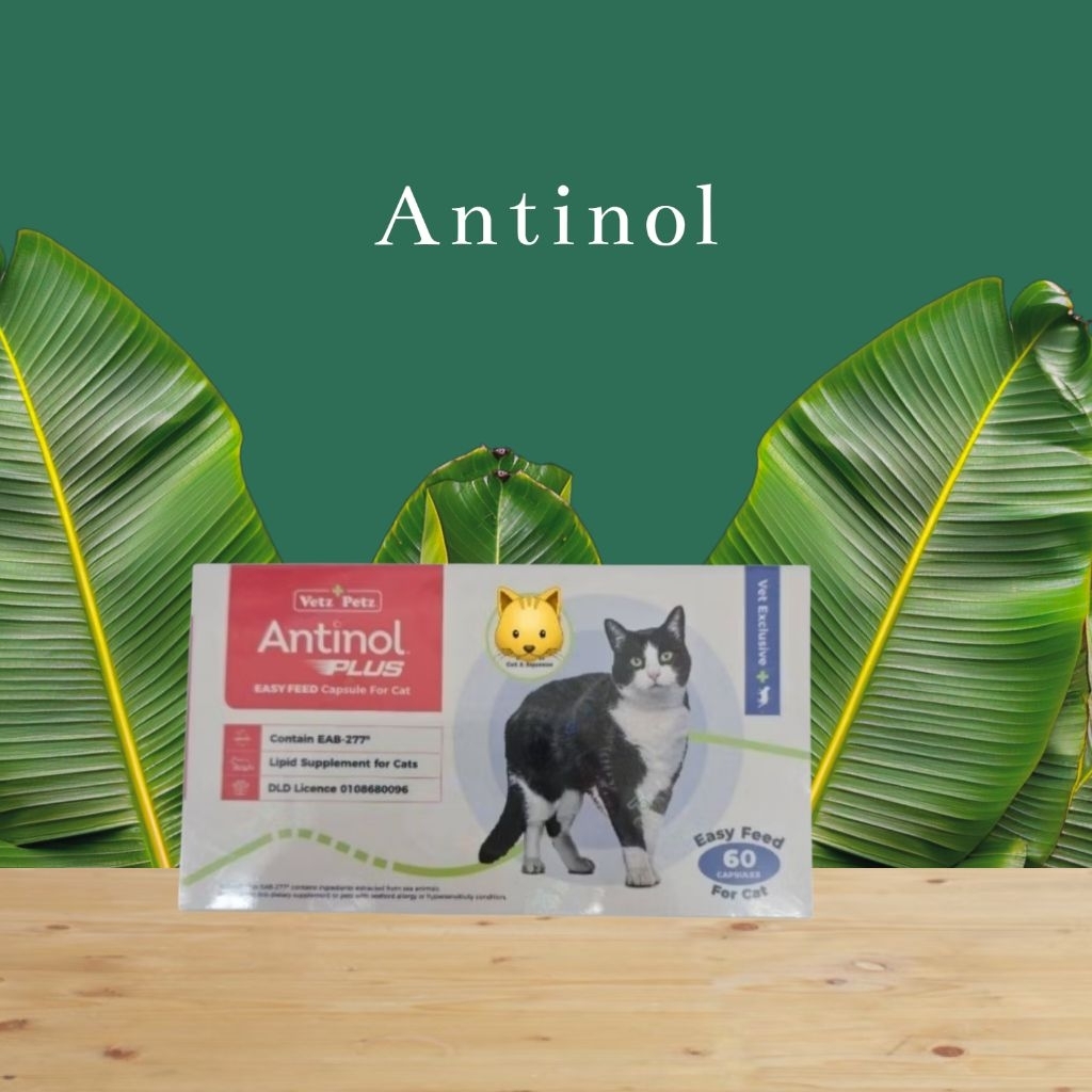 Antinol cat (60 capsule)