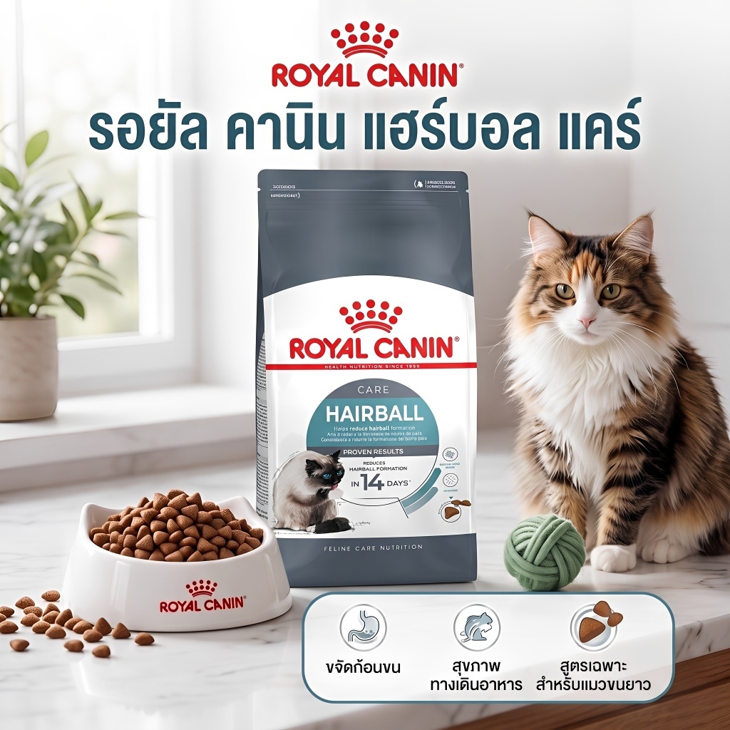 Royal Canin Hairball Care อาหารแมว รอยัลคานิน สูตรดูแลปัญหาก้อนขน ถุงซิปล็อคแท้ 100%
