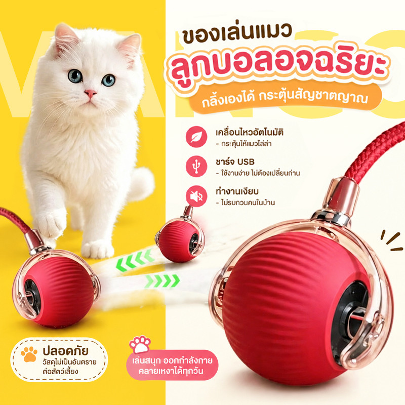 Mango ลูกบอลแมว ลูกบอลแมวอัตโนมัติ แบบชาร์จไฟได้ ของเล่นแมว สมาร์ทไฟฟ้า หมุน ของเล่นแมวแบบโต้ตอบ อุปกรณ์สําหรับแมว