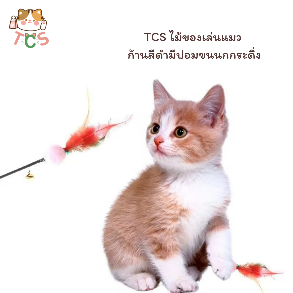 TCS ไม้ของเล่นแมว ก้านดํา มีปอมขนนกกระดิ่ง สําหรับแมวทุกวัย ดีไซน์น่ารัก