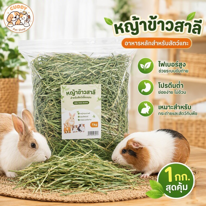 หญ้าข้าวสาลีอบแห้ง หญ้าแมว วีทกลาส หญ้ากระต่าย อาหารแห้ง ชินชิลล่า หนูตะเภา 1 กิโลกรัม