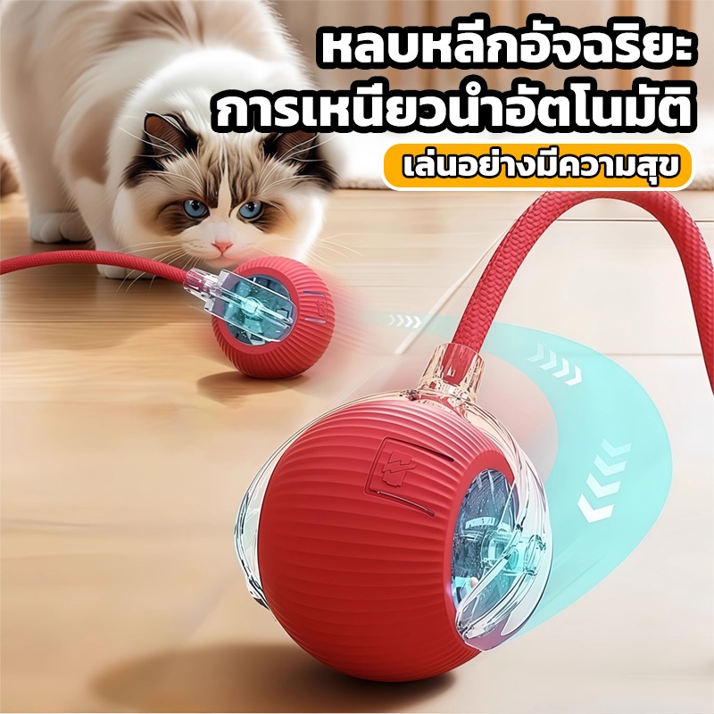 ของเล่นแมว ลูกบอลสัตว์เลี้ยง ของเล่นแมวอัจฉริยะ 2 ตัวเลือก หมุนได้ 360 องศา เรืองแสง USB ชาร์จ