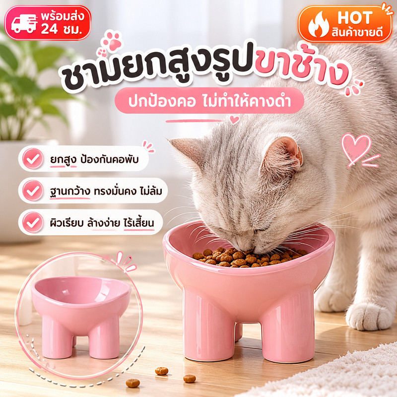 ชามกันมด แมว ชามอาหารแมว ชามอาหารสัตว์เลี้ยง ทรงเฉียง ชามอาหารสุนัข ที่วางอาหารสัตว์เลี้ยง เครื่องให้อาหารสัตว์เลี้ยง