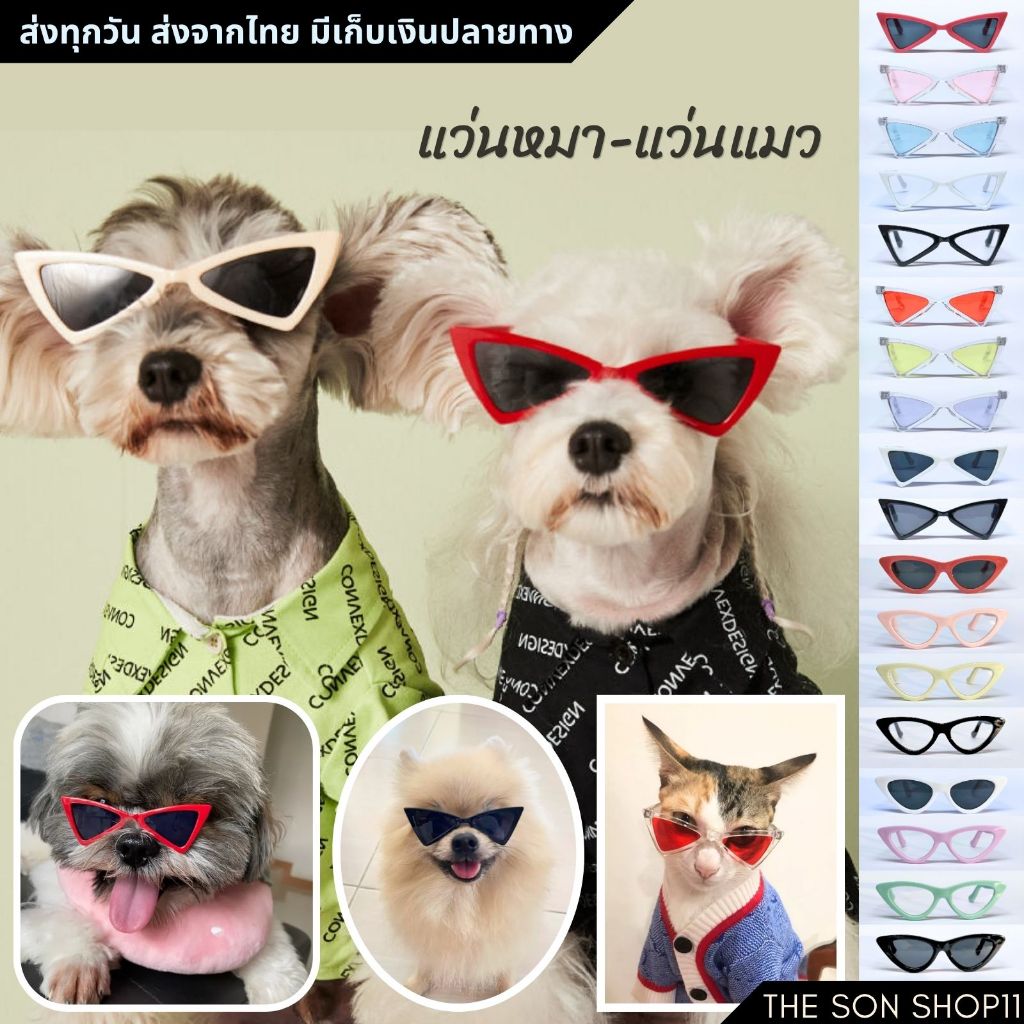 แว่นแมว สุนัขพันธ์เล็ก แว่นตุ๊กตา แว่นกระต่าย
