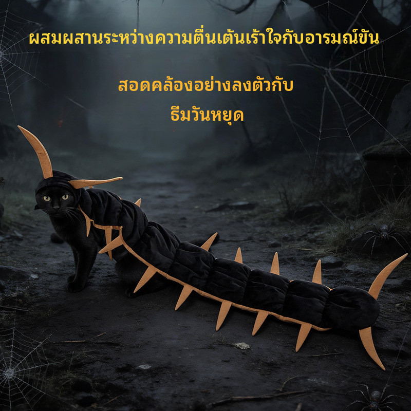สนุกตลกตะขาบแมวเสื้อผ้าฮาโลวีนแมวการเปลี่ยนแปลงเครื่องแต่งกายออกนอกบ้านภาพสัตว์เลี้ยงสนุกเครื่องแต่งกาย เจ2ซู