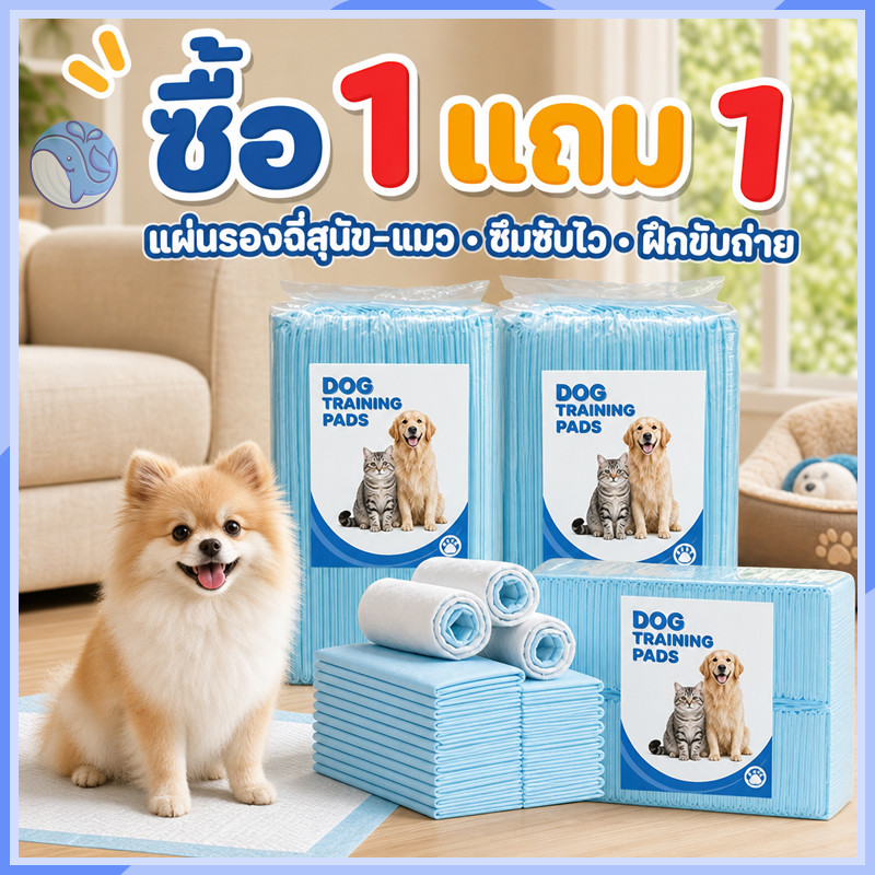 ซื้อ 1 แถม 1 แผ่นรองฉี่สุนัขและแมว ซึมซับได้ดี ต่อต้านแบคทีเรีย กักเก็บกลิ่น กันรั่วซึม ช่วยฝึกขับถ่าย เปลี่ยนง่าย