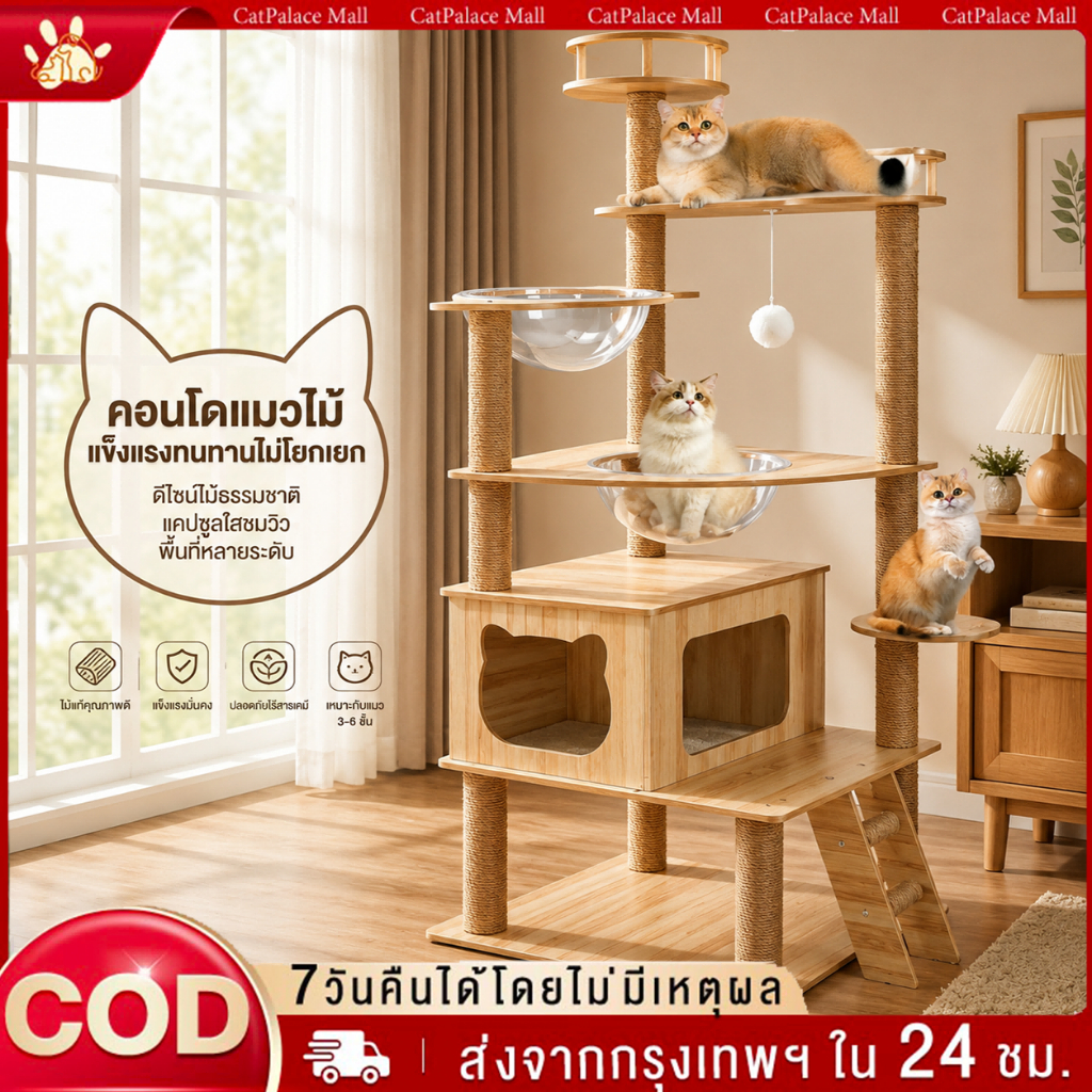 คอนโดแมว ไม้แมวคอนโดแมว บ้านแมว รวมถึงแคปซูลอวกาศโปร่งใสเหมาะสําหรับเลี้ยงน้องแมว 3-5ตัว เสาลับเล็บ ขนาดใหญ่ สูง170CM