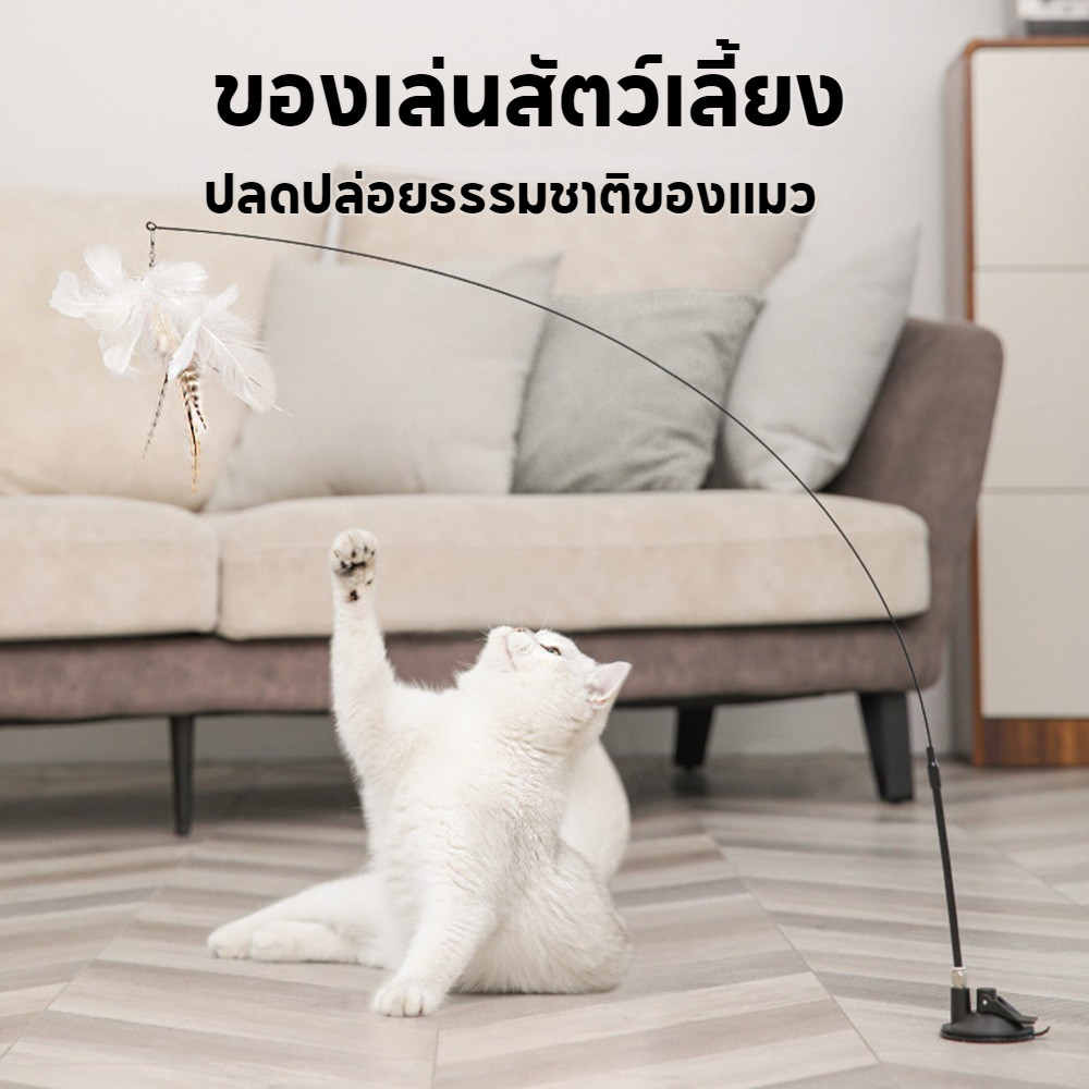 ของเล่นแมว ของเล่นล่อแมว Cat toy ขนนก แบบปุ่มดูดสุญญากาศ ไม้ตกแมว ไม้แหย่แมว สําหรับแมว