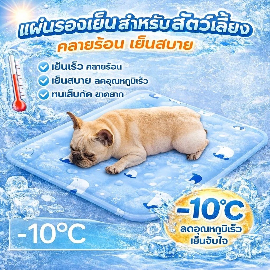 ระบายความร้อน สําหรับสัตว์เลี้ยง สุนัข ที่นอนเจลเย็น สําหรับตว์เลี้ยง เบาะนอนเย็น สําหรับสุน ที่นอนเจลเย็น แผ่นเจลเย็นแมว