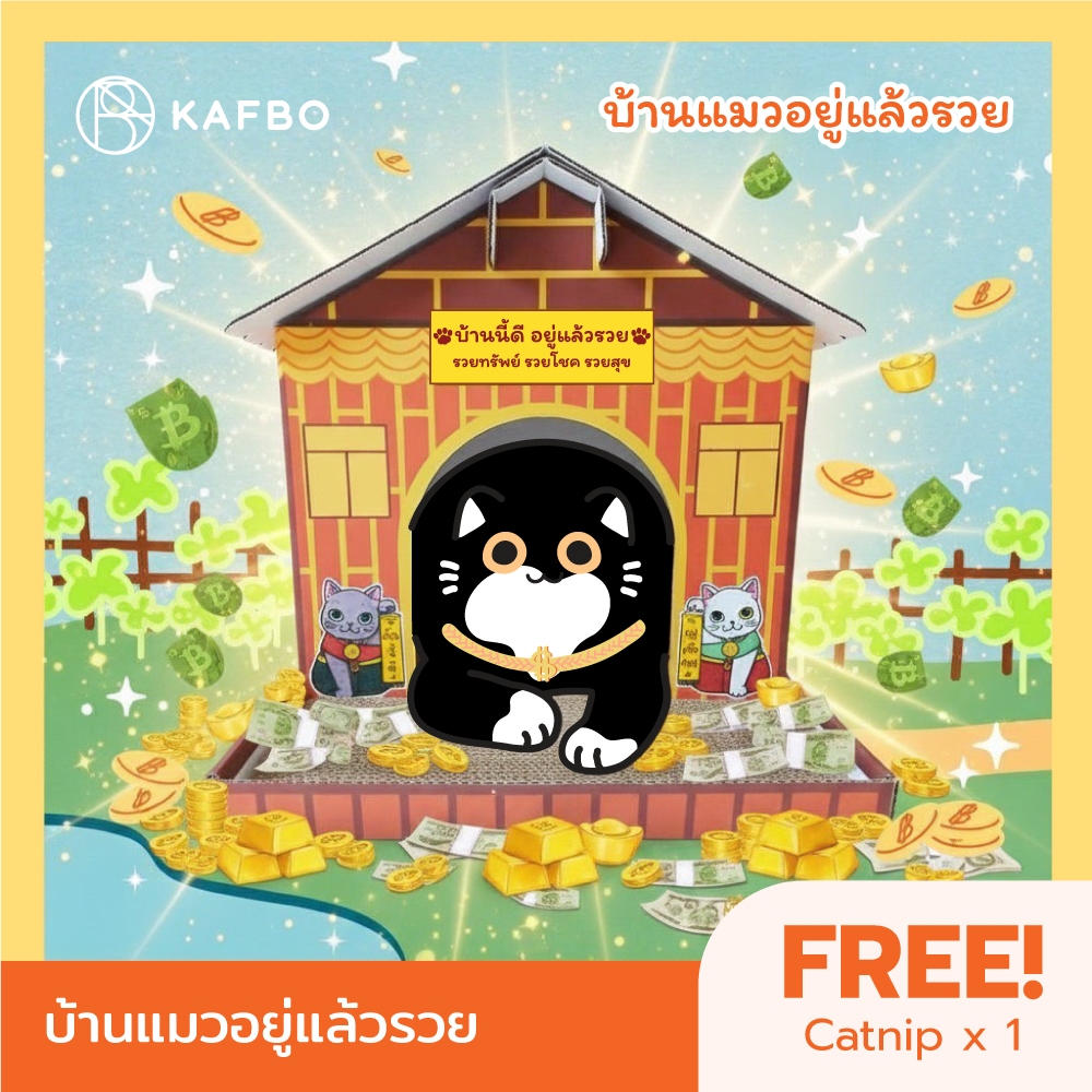 บ้านแมวอยู่แล้วรวย กล่องบ้านแมว ที่ลับเล็บ ที่ฝนเล็บ ที่นอนแมว FREE! Catnip
