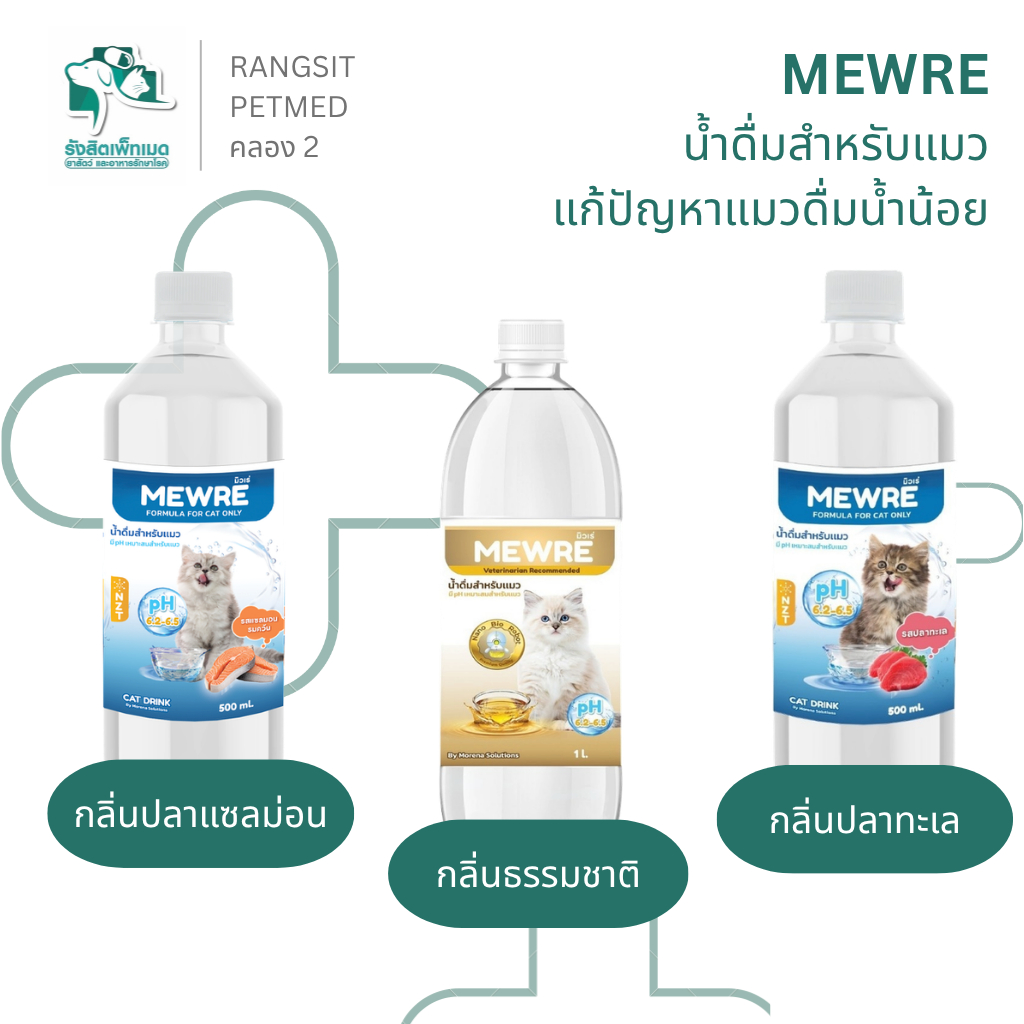 MEWRE น้ําดื่มสําหรับแมว สูตรกระตุ้นการดื่มน้ํา ปรับสมดุล pH แมวดื่มน้ําน้อย ลดเสี่ยงนิ่ว