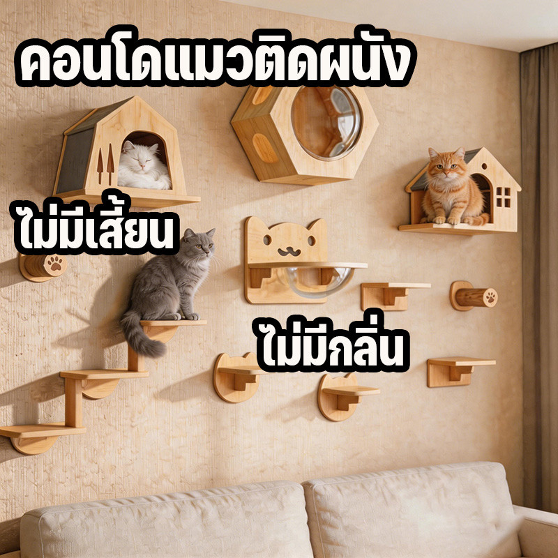 คอนโดแมวติดผนัง เสาปีนแมวติดผนัง กรอบปีนแมวไม่มีเสี้ยน ไม่มีกลิ่น ไม้เนื้อแข็งทั้งหมด