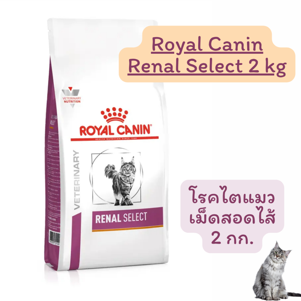exp.11/27 Royal canin Renal Selectอาหารเม็ด สําหรับแมวที่เป็นโรคไตเรื้อรัง อายุ 1 ปีขึ้นไป ขนาด2กิโลกรัม