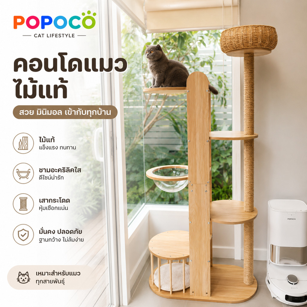 POPOCO】คอนโดแมวสําหรับแมวอ้วน สูง190ซม. ตะกร้าหวาย49ซม. บ้านแมวไม้จริง โดมใส360° แข็งแรง รองรับหลายตัว