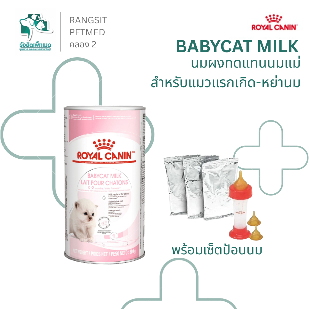 Royal Canin Babycat Milk นมผงลูกแมว 300g นมทดแทนนมแม่ สําหรับลูกแมวแรกเกิด-2 เดือน พร้อมชุดป้อน