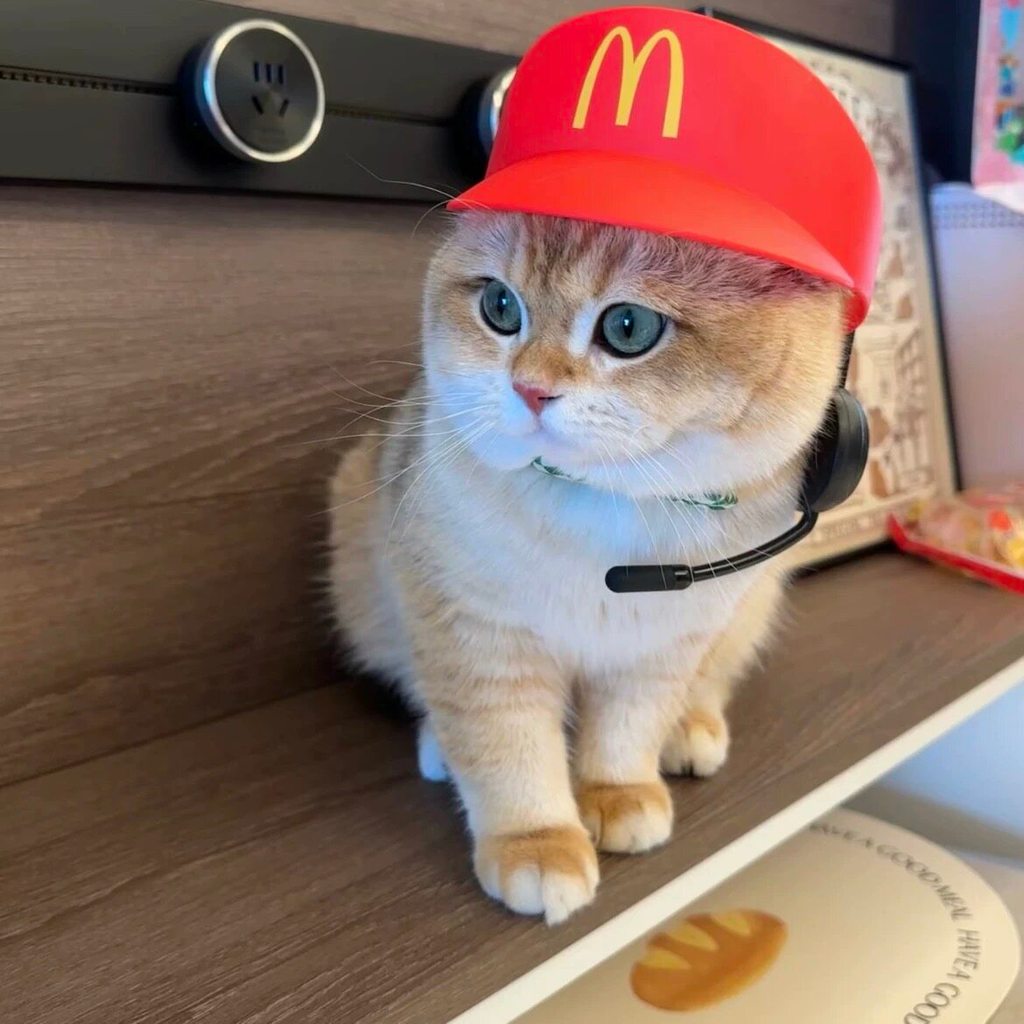 ฮาโลวีนแมวสุนัข McDonald หมวกตลกสัตว์เลี้ยงเครื่องแต่งกาย Headpiece พร้อม Walkie Talkie Feature สําหรับคอสเพลย์ Party