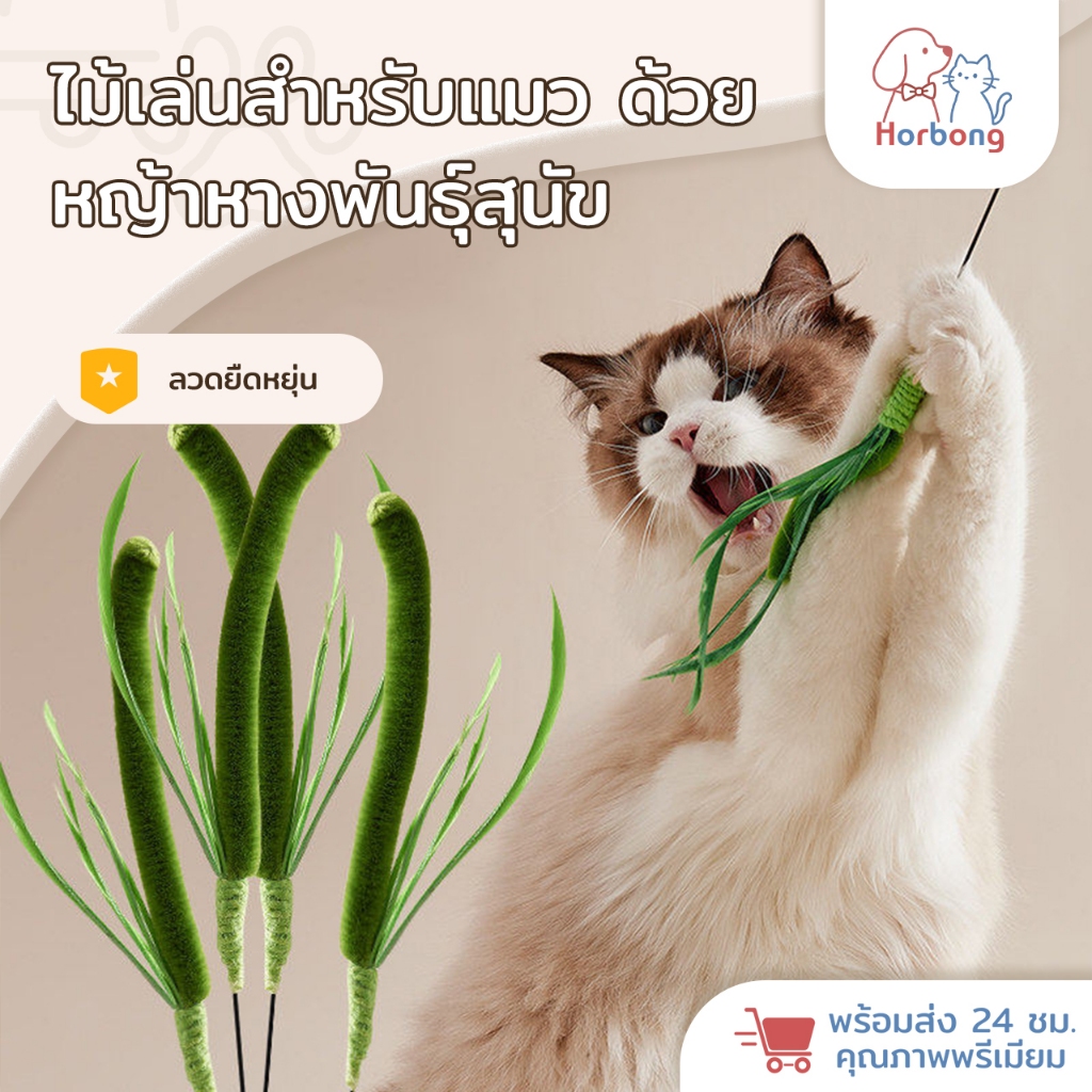 Horbong Pets】ของเล่นแมว Cat Toy ไม้ตกแมว พร้อมขนนก ไม้ล่อแมวสปริง ของเล่นสัตว์เลี้ยง ไม้แมวหางยาว ทนทาน ไม่หัก