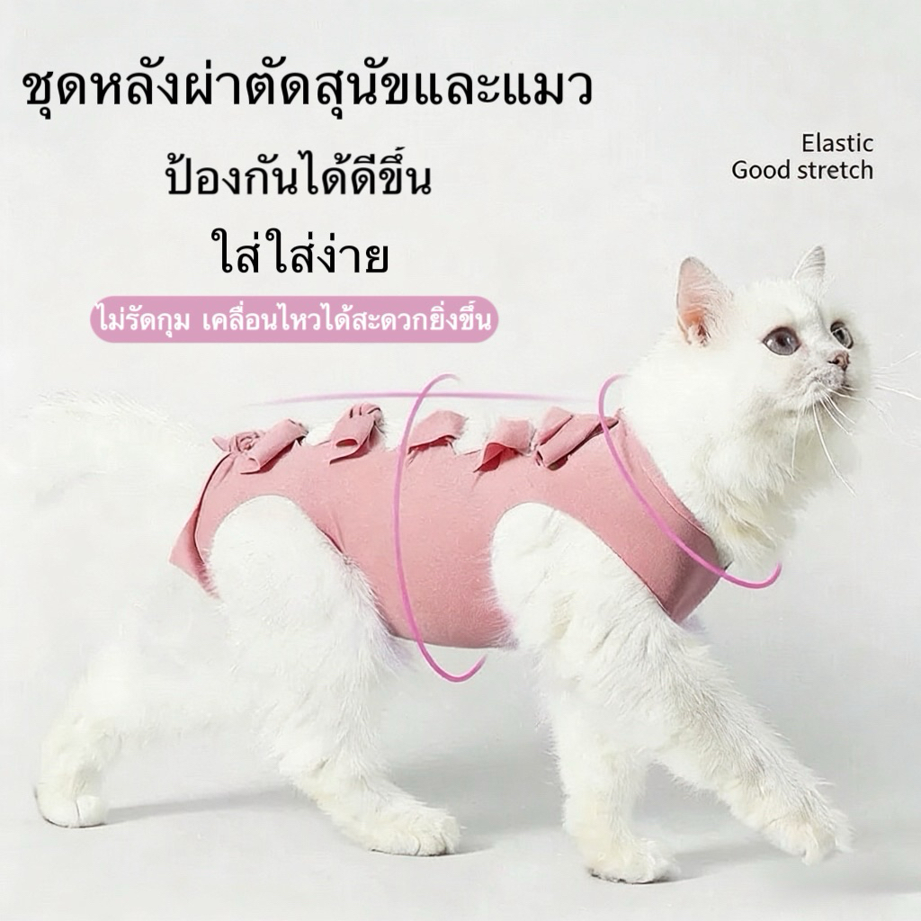 ชุดแมวทําหมันเสื้อหลังผ่าตัด เสื้อหลังผ่าตัดแมว ชุดหลังผ่าตัดสุนัขและแมว เสื้อหลังผ่าตัดสุนัขและแมว หย่านม ป้องกันการเลีย