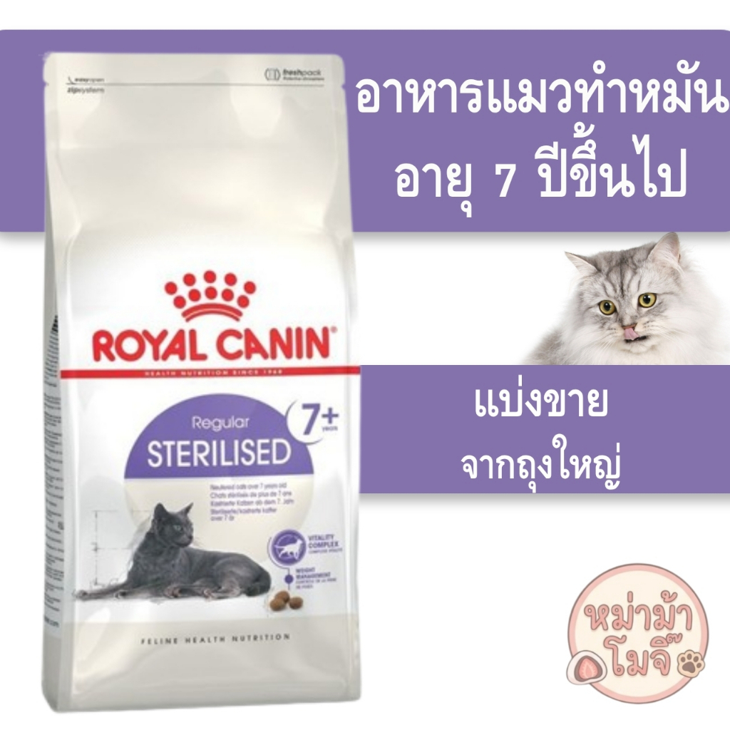 ทุกวัน [[แมวสูงวัยเป็นหมัน]] Royal Canin Sterilised 7+ อาหาร แมวสูงวัย 7+ ทําหมัน 7 ปีขึ้น
