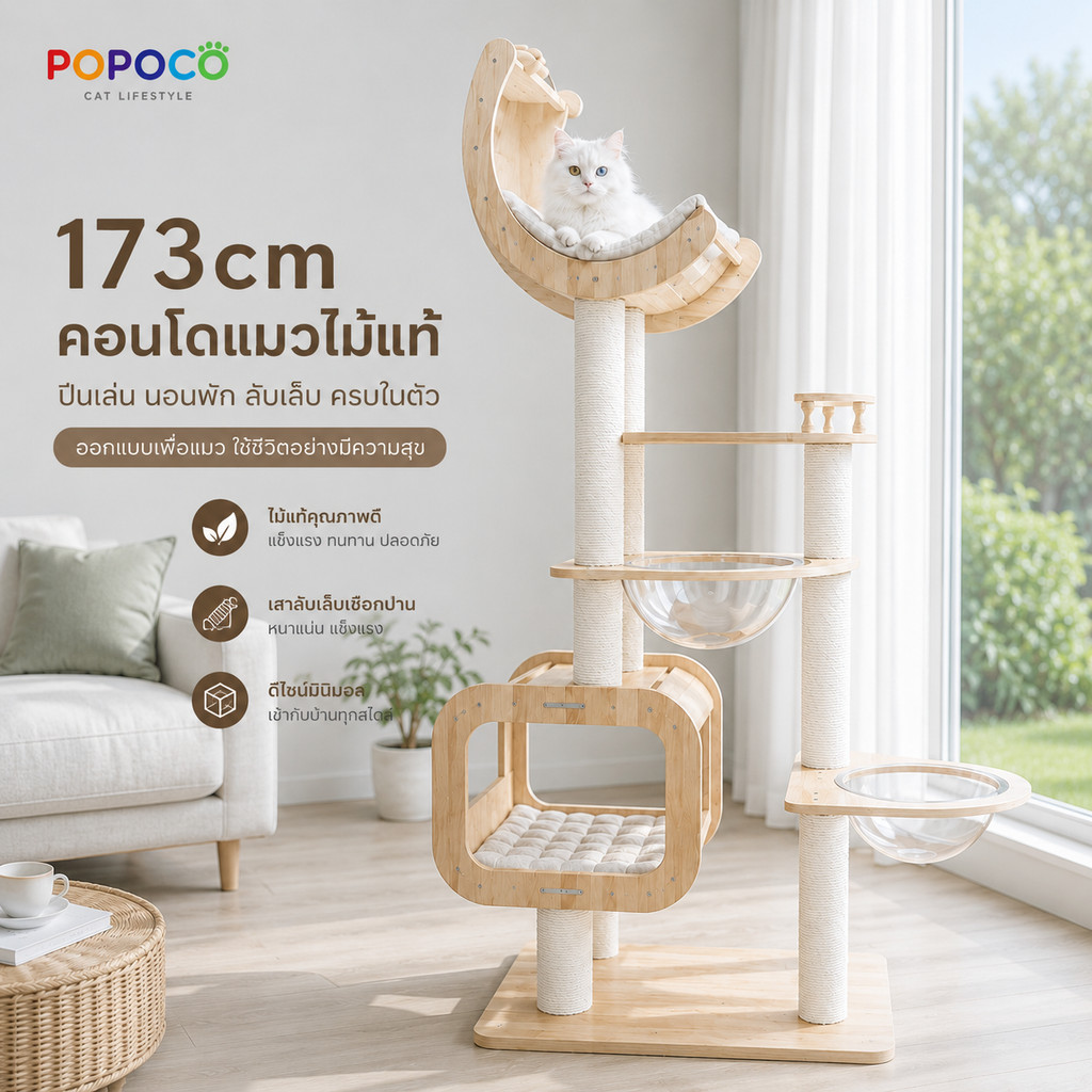 POPOCO】คอนโดแมวไม้แท้ คอนโดแมวสูง บ้านแมวขนาดใหญ่ หลุมอวกาศใส 2 จุด เสาลับเล็บแมว คอนโดแมวมินิมอล Cat Tree