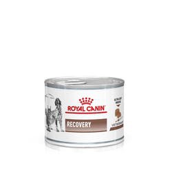 Royal Canin Veterinary Recovery 195g อาหารสําหรับสุนัขและแมว พักฟื้น