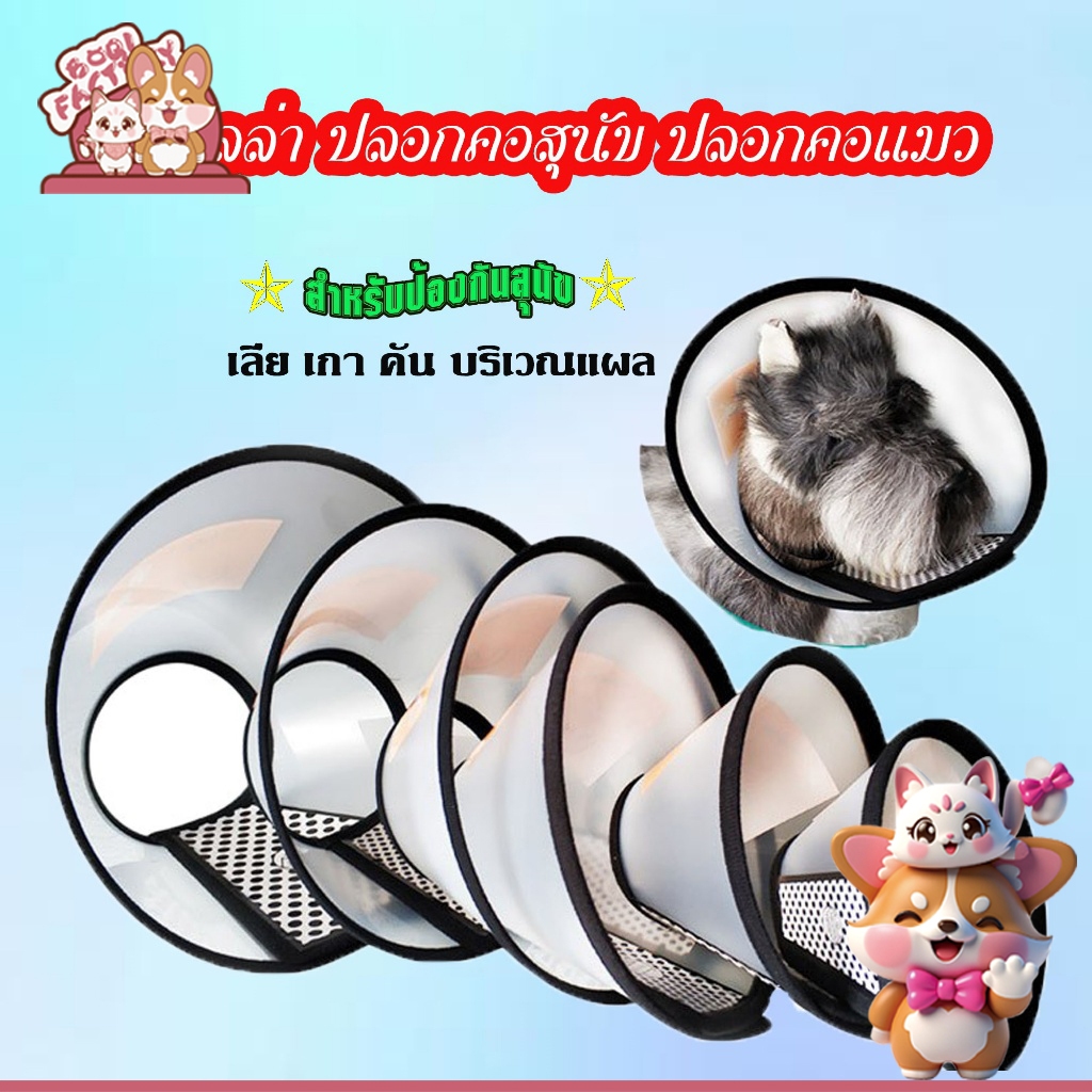 คอลล่าร์ ปลอกคอกันเลียแผล สําหรับสุนัขและแมว คอลล่า ปลอกคอสุนัข ปลอกคอแมว คอลล่า CBYL