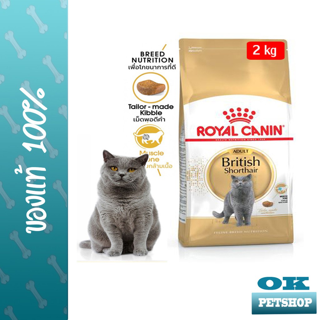 EXP8/2027] ROYAL CANIN BRITISH SHORTHAIR 2KG แมวโตพันธุ์ บริติช ชอร์ทแฮร์