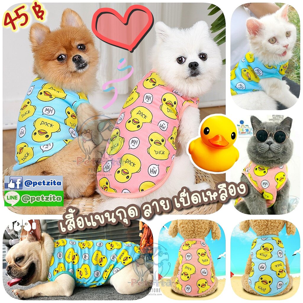จร้า ❤🐥 DUCK น้องเป็ดเหลือง 🌈 เสื้อแขนกุด ใส่สบายมาก 🐶🐱 for pet เสื้อสุนัข หมา แมว