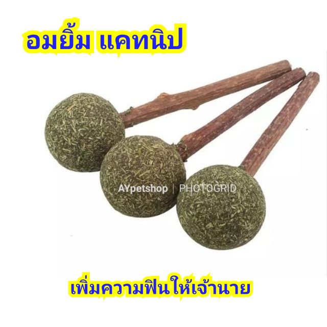 อมยิ้มแคทนิปบอล สําหรับน้องแมวเหมียว