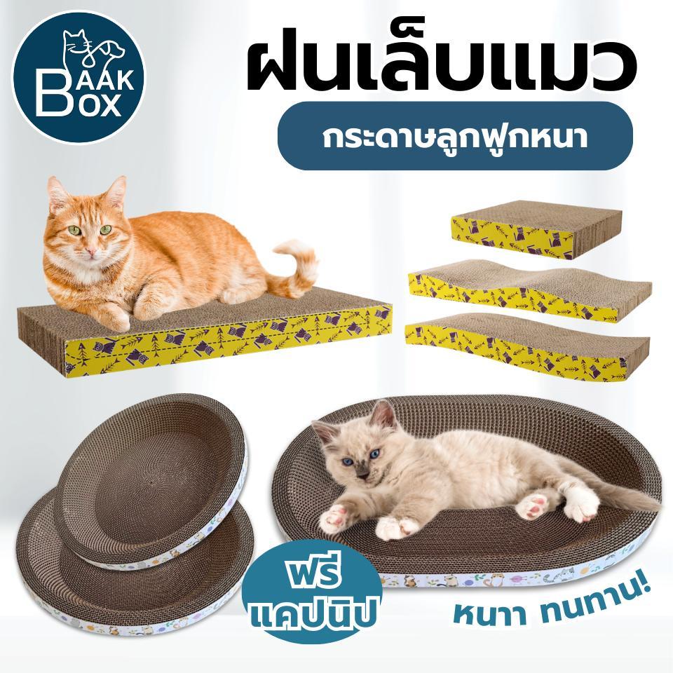 ที่ฝนเล็บแมว ที่ฝนเล็บแมว แคปนิป ไซส์จัมโบ้ ที่ฝนเล็บพร้อมเป็นของเล่นแมวไปในตัว เพลิดเพลิน