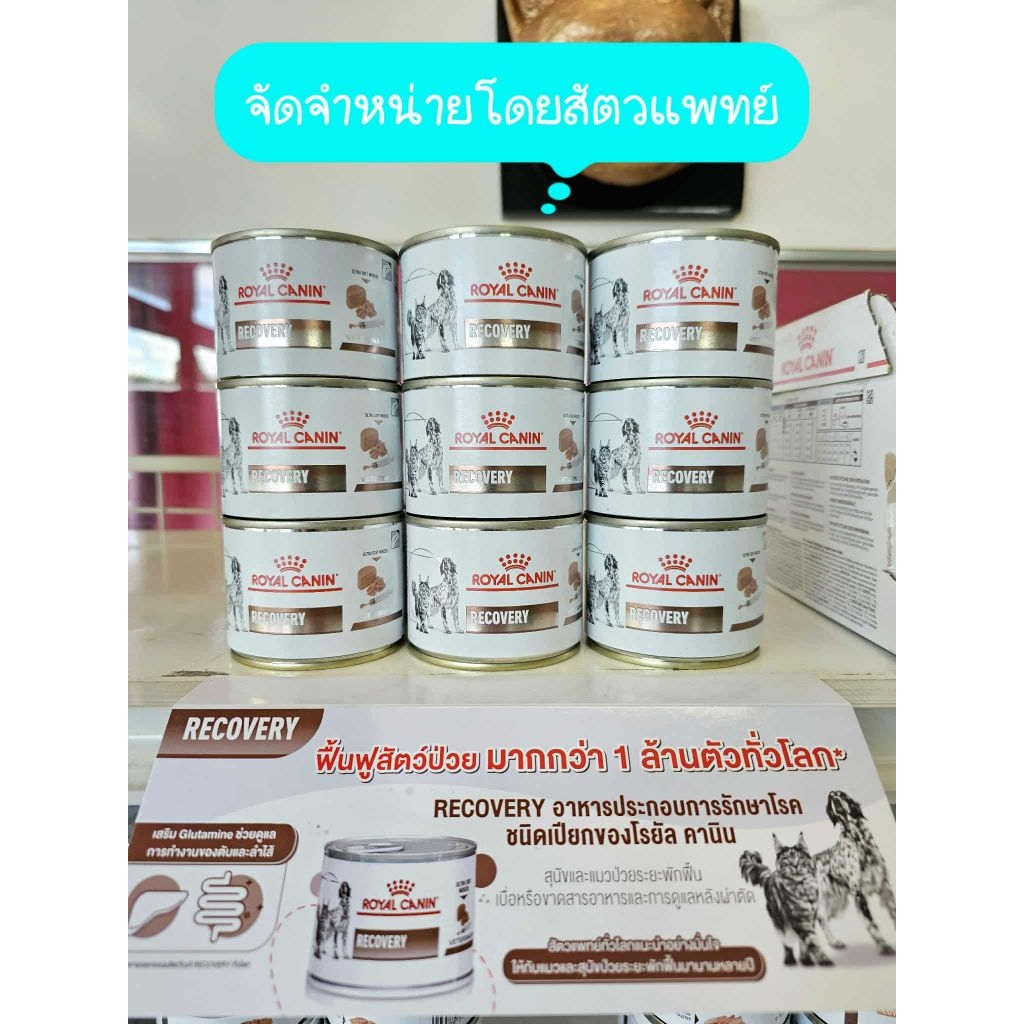 อาหารเปียก สุนัข/แมว ระยะพักฟื้น/หลังผ่าตัด ย่อยง่าย ให้พลังงานสูง Recovery Royal Canin 195 g